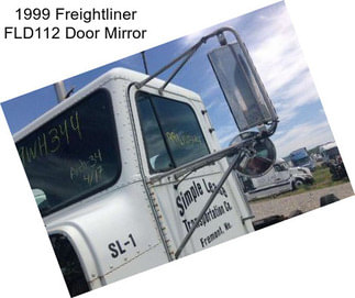 1999 Freightliner FLD112 Door Mirror