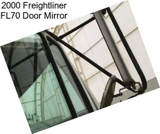 2000 Freightliner FL70 Door Mirror