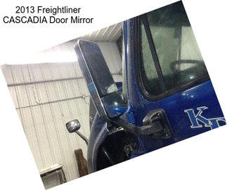 2013 Freightliner CASCADIA Door Mirror