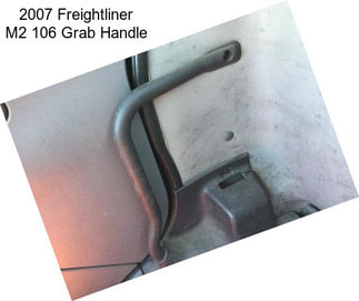 2007 Freightliner M2 106 Grab Handle