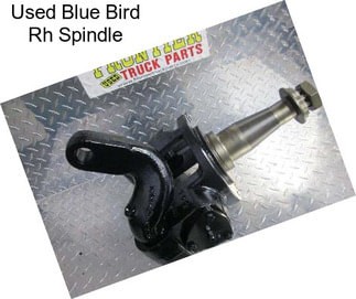 Used Blue Bird Rh Spindle