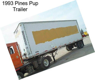 1993 Pines Pup Trailer