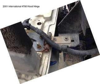 2001 International 4700 Hood Hinge