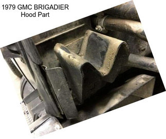 1979 GMC BRIGADIER Hood Part