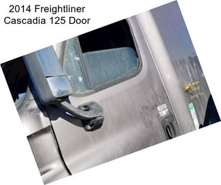 2014 Freightliner Cascadia 125 Door