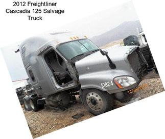 2012 Freightliner Cascadia 125 Salvage Truck