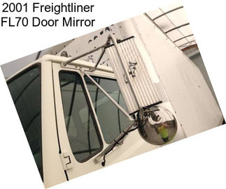 2001 Freightliner FL70 Door Mirror