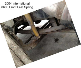 2004 International 8600 Front Leaf Spring