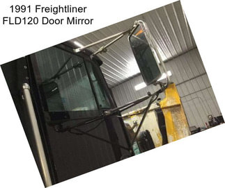 1991 Freightliner FLD120 Door Mirror