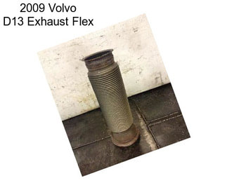2009 Volvo D13 Exhaust Flex