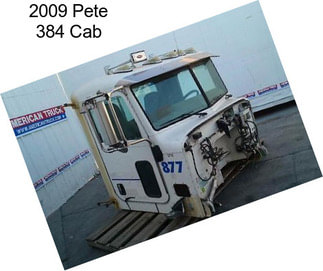 2009 Pete 384 Cab