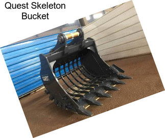 Quest Skeleton Bucket