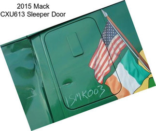 2015 Mack CXU613 Sleeper Door