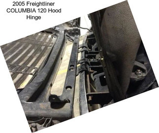 2005 Freightliner COLUMBIA 120 Hood Hinge