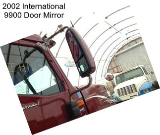 2002 International 9900 Door Mirror