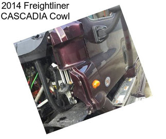 2014 Freightliner CASCADIA Cowl