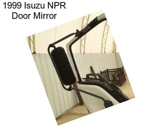 1999 Isuzu NPR Door Mirror