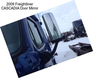 2009 Freightliner CASCADIA Door Mirror