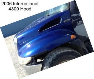 2006 International 4300 Hood