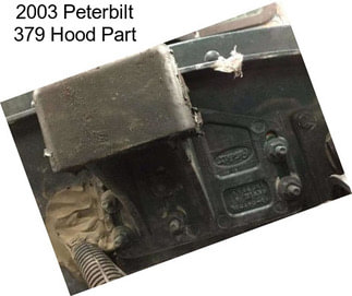 2003 Peterbilt 379 Hood Part