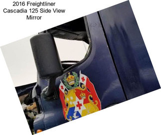 2016 Freightliner Cascadia 125 Side View Mirror