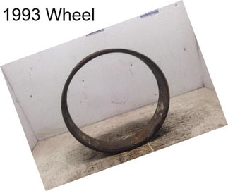 1993 Wheel
