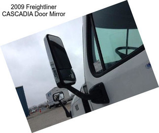 2009 Freightliner CASCADIA Door Mirror