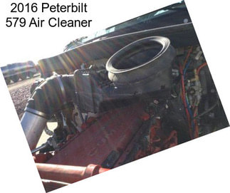 2016 Peterbilt 579 Air Cleaner