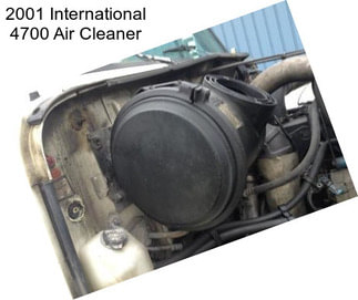 2001 International 4700 Air Cleaner