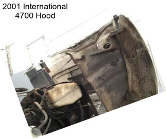 2001 International 4700 Hood