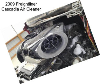 2009 Freightliner Cascadia Air Cleaner