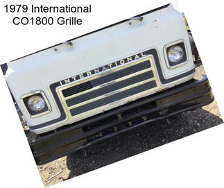 1979 International CO1800 Grille