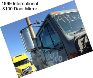 1999 International 8100 Door Mirror