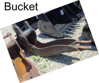 Bucket