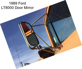 1989 Ford LT8000 Door Mirror