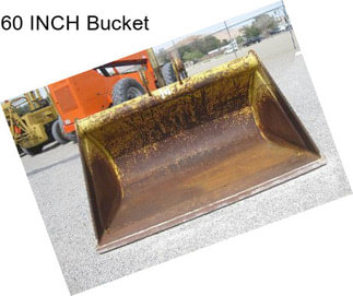 60 INCH Bucket