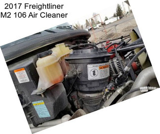 2017 Freightliner M2 106 Air Cleaner