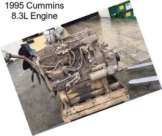 1995 Cummins 8.3L Engine