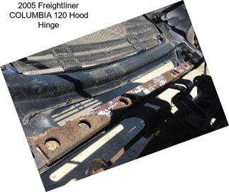 2005 Freightliner COLUMBIA 120 Hood Hinge