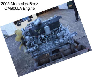 2005 Mercedes-Benz OM906LA Engine