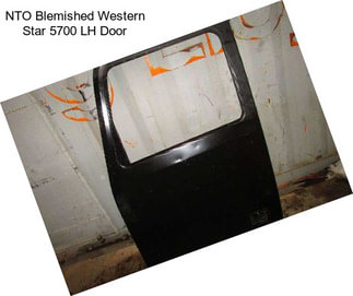 NTO Blemished Western Star 5700 LH Door