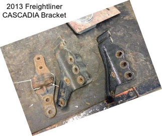 2013 Freightliner CASCADIA Bracket