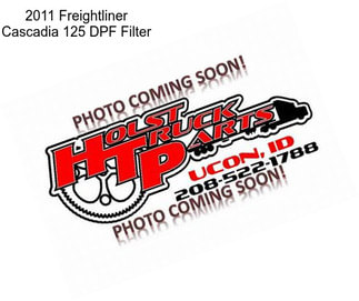 2011 Freightliner Cascadia 125 DPF Filter