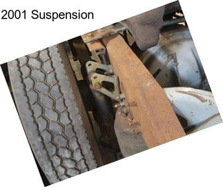 2001 Suspension