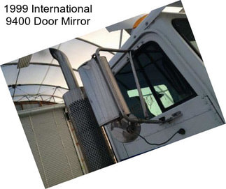 1999 International 9400 Door Mirror