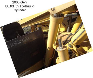 2006 Gehl DL10H55 Hydraulic Cylinder