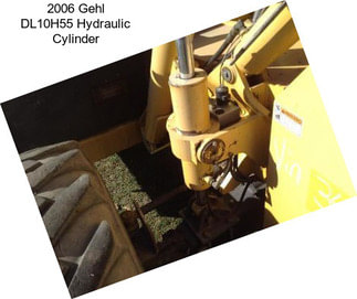 2006 Gehl DL10H55 Hydraulic Cylinder