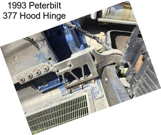 1993 Peterbilt 377 Hood Hinge