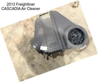 2013 Freightliner CASCADIA Air Cleaner