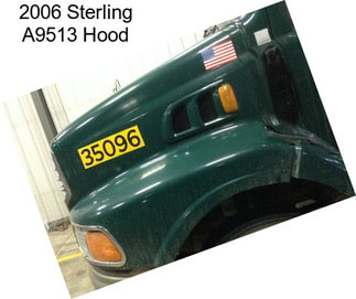 2006 Sterling A9513 Hood